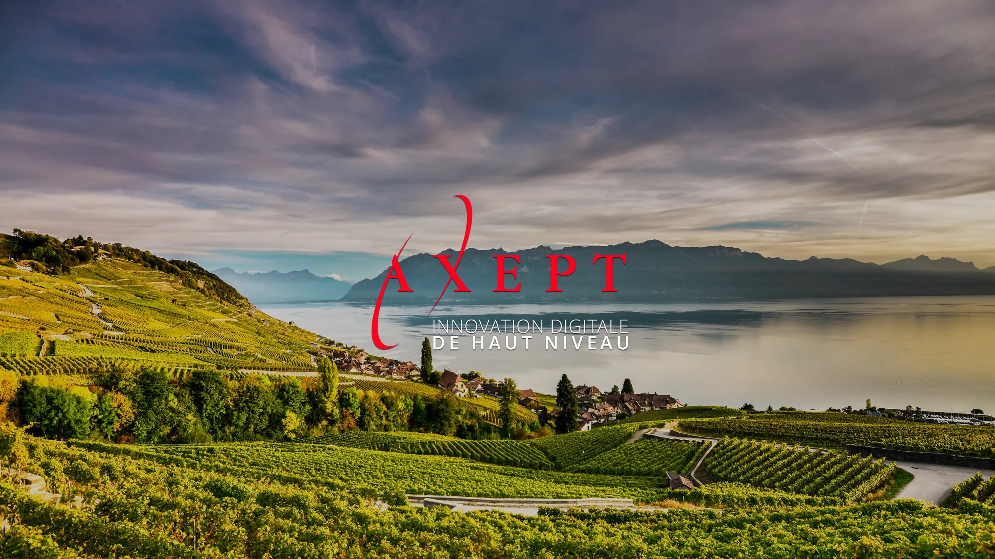 Axept Business Software AG — selected integrated marketing work
